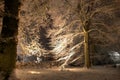 Lighted tree with snow