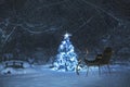 Lighted Tree in Snow with Santa Sleigh