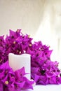 Lighted white candle and bright pink bougainvillea flowers