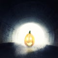 Lighten jack-o-lantern in front of darken tunnel with fog and li