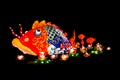 Lightened chinese fish Royalty Free Stock Photo