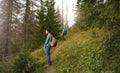 Lightening the load while hiking in a forest