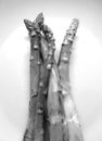 Lighter black and white uncooked asparagus in a plate