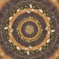 Lighter-colored pumpkin seeds creates a visually striking mandala-like Royalty Free Stock Photo