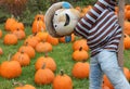 Lighthearted scarecrow at the pumpkin patch Royalty Free Stock Photo