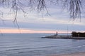 Lighthouse Beacon at Dusk Under Branches Artistic Illustration