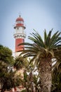 Lighthouse behind Palm Trees, Swakopmund, Namibia Royalty Free Stock Photo