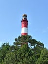 Lighthouse behind trees Royalty Free Stock Photo