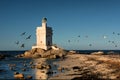 Lighthouse and birds