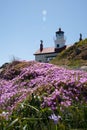 Lighthouse in Bloom Royalty Free Stock Photo