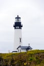 Lighthouse at blooming wildflowers in headland Pacific Coast New