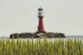 Sharp reed, lighthouse in the bokeh Royalty Free Stock Photo