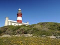 Lighthouse of Cape Agulhas (South Africa) Royalty Free Stock Photo