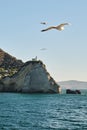 Lighthouse on Cape Miseno Royalty Free Stock Photo