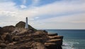 Castlepoint Lighthouse On Rocks