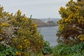 Lighthouse on a cliff in Howth, framed by flowering bushes