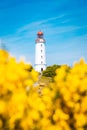 Lighthouse Dornbusch on the island Hiddensee, Ostsee, Germany Royalty Free Stock Photo