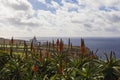 Lighthouse / Farol da Ponta da Ferraria, Azores, Portugal