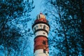 Lighthouse in the forest between the trees. red and white lighthouse Royalty Free Stock Photo