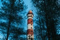 Lighthouse in the forest between the trees. red and white lighthouse Royalty Free Stock Photo
