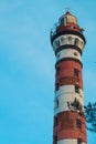 Lighthouse in the forest among the trees. red and white lighthouse Royalty Free Stock Photo