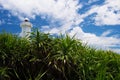 The Lighthouse in HIGASHI HENNA Cape, Okinawa Prefecture/Japan