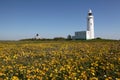 Lighthouse at Hurst castle Royalty Free Stock Photo