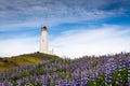 Lighthouse in Iceland Royalty Free Stock Photo
