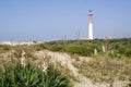 Lighthouse of La Coubre in France Royalty Free Stock Photo