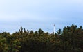 Lighthouse Lyngvig Fyr behind a bush