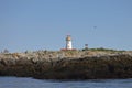 Lighthouse On Machias Seal Island With Bird Blinds Royalty Free Stock Photo