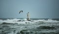 The lighthouse of the Mangiabarche shrouded by the waves of a mistral wind storm Royalty Free Stock Photo