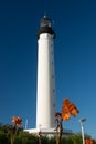 Lighthouse with orange flowers in Biarritz, France