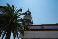 Lighthouse with a palm tree in front