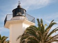 Lighthouse and palm tree Royalty Free Stock Photo