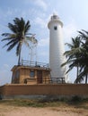 Lighthouse and palm trees in the town of Galle, Sri Lanka. Galle - the largest city and port in the south of Sri Lanka, the