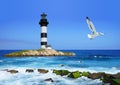 Lighthouse on rocks, sea coast, flying seagull