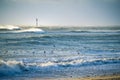 Lighthouse in the sea during windstorm with seagulls