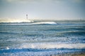 Lighthouse in the sea during windstorm with seagulls. blue sky a