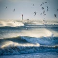 Lighthouse in the sea during windstorm with seagulls. blue sky a