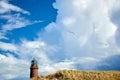lighthouse seagull Darsser Ort Royalty Free Stock Photo