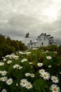 A lighthouse on the shore amid the lush blooming of white daisies. Royalty Free Stock Photo