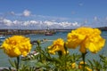 Lighthouse at St. Ives Harbour in Cornwall, UK Royalty Free Stock Photo