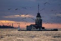 Lighthouse at sunset. A flock of seagulls. Maiden tower, Istanbul Royalty Free Stock Photo