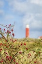 Lighthouse Texel Netherlands Royalty Free Stock Photo