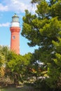 Lighthouse through the Trees at Mayport, Florida Royalty Free Stock Photo