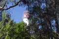 Lighthouse in the trees