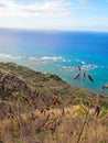 Lighthouse View from Diamond Head Crater in Honolulu Hawaii Royalty Free Stock Photo