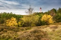 Lighthouse in Wittduen on the island Amrum Royalty Free Stock Photo