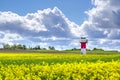 Lighthouses and a rapeseed field in south Sweden, Ven Island